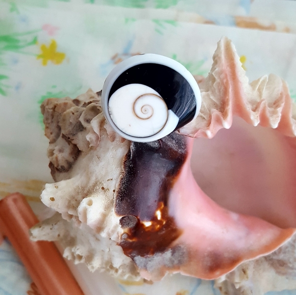 Natural Shell Ring - Picture 4 of 16